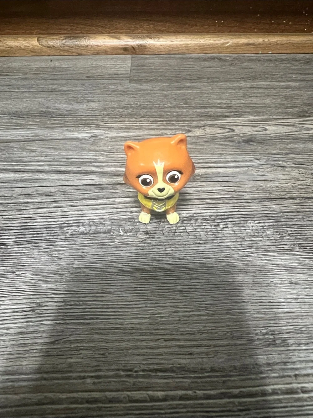 Paw Patrol Kitties - Picture 5 of 5